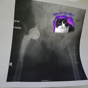 Meet your Posher, Joann